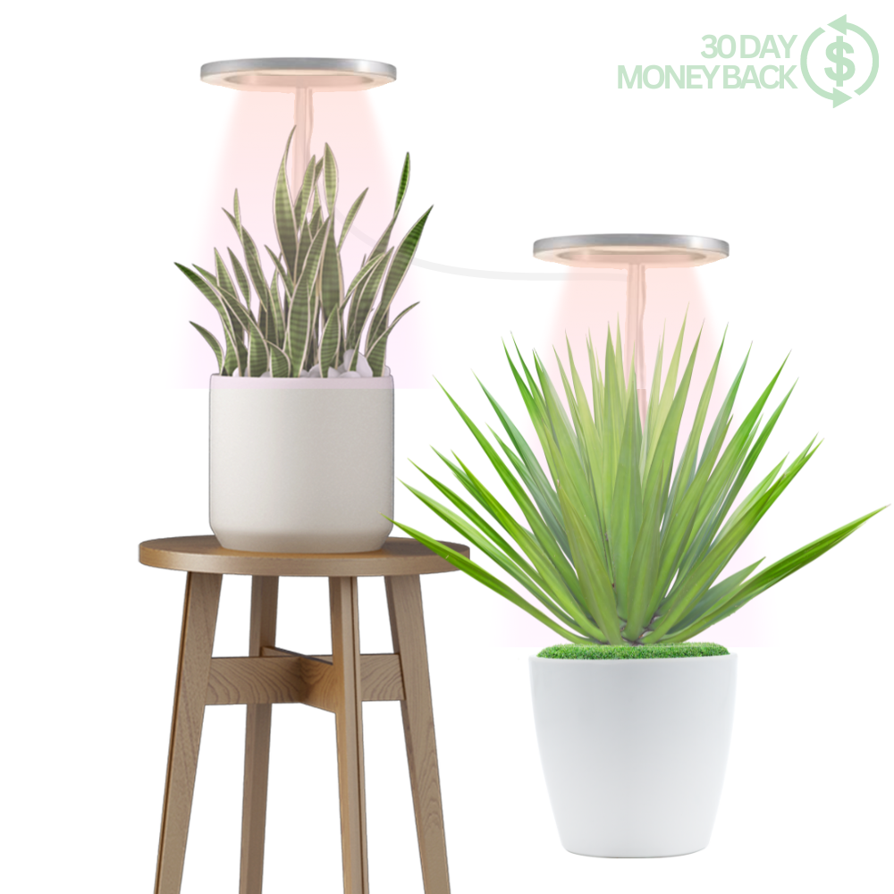 🪴💡The Plant Halo